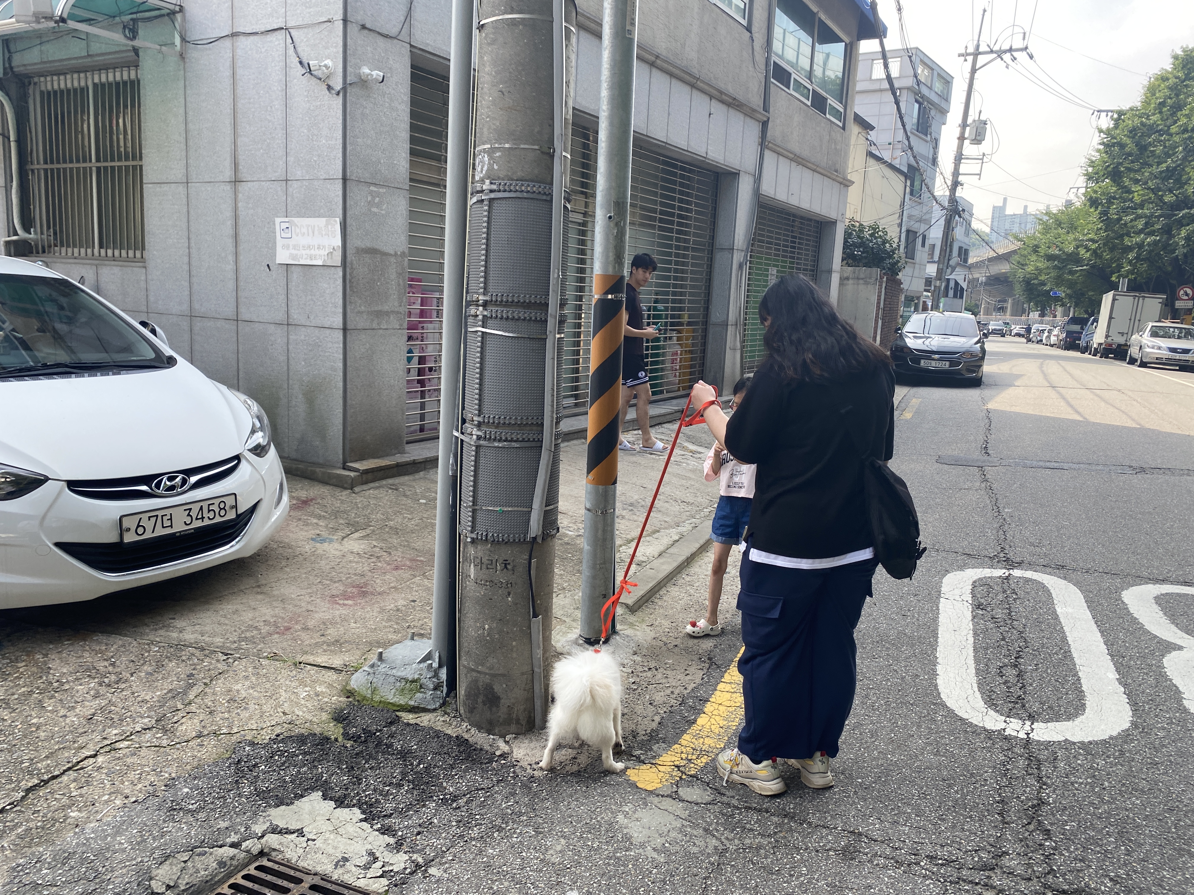 애니멀119 1차 찾아가는 동물복지